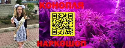 бошки Можга