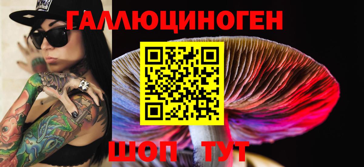 Псилоцибиновые грибы MAGIC MUSHROOMS  Вход с VPN  Усинск 